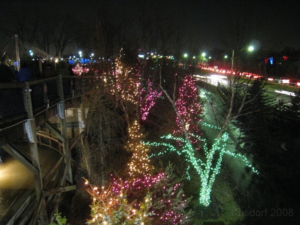 Toledo Zoo Lights 2008 029.jpg - The regular visit to the Toledo Ohio Zoo to see the Christmas Lights displays. New this trip were the "Dancing Lights", displays flashing in time with the Christmas Songs.